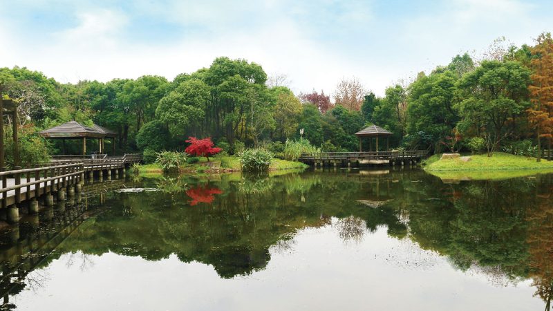 成都花卉租摆企业选择：如何根据养护成本评估